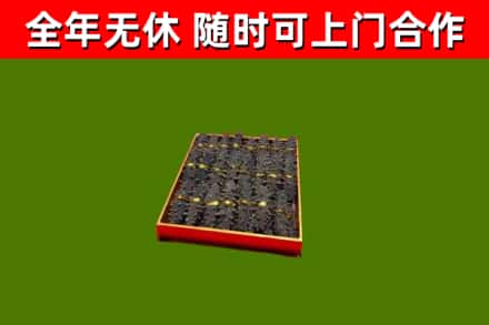 东乌珠穆沁旗回收海参